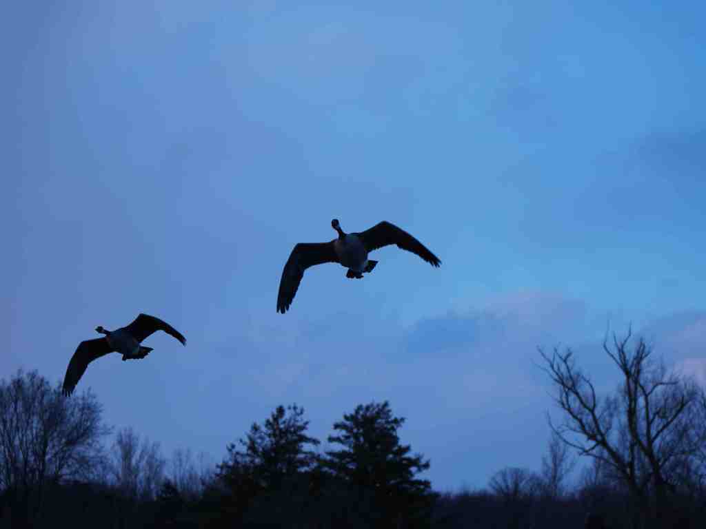 阻挡我学好英语的障碍到底是什么？终于想明白了！